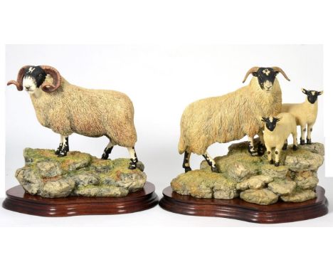 Border Fine Arts 'Blackie Tup', model No. B0354 by Ray Ayres, limited edition 143/1750, on wood base, with box and certificat