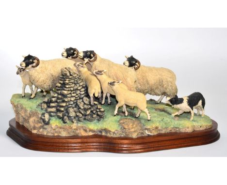 Border Fine Arts 'Gathering in the Strays' (Sheep and Collie), model No. JH28 by Ray Ayres, limited edition 818/2500, on wood