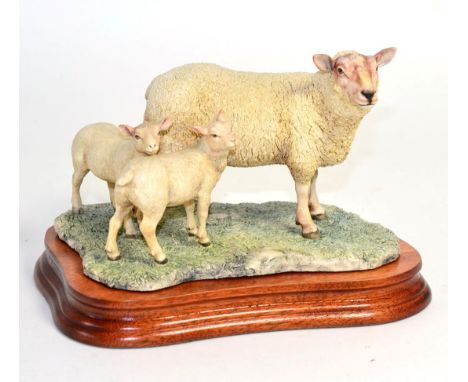 Border Fine Arts 'Charolais Ewe and Lambs', model No. L121 by Ray Ayres, limited edition 520/750, on wood base, with box and 