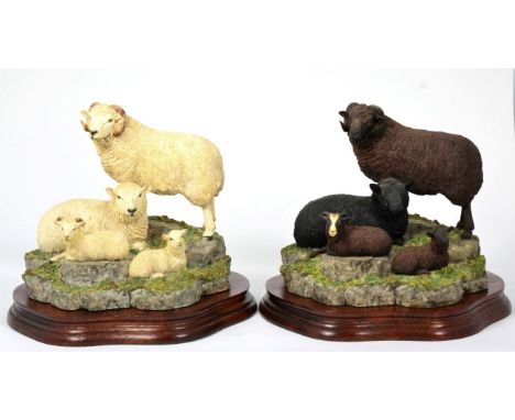 Border Fine Arts 'Shetland Sheep Family Group', model No. B0597A, White, limited edition 438/1250 and model No. B0597B, Moori