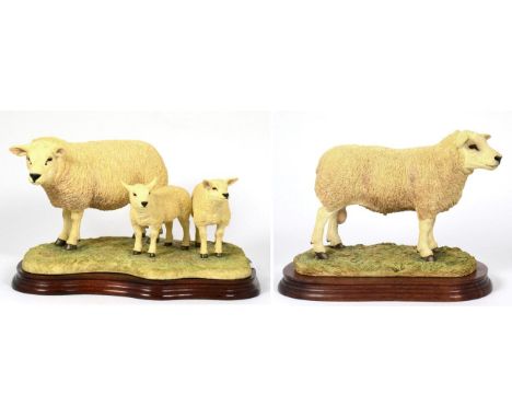 Border Fine Arts 'Texel Ewe and Lambs' (Style Two), model No. B0658, limited edition 278/1500 and 'Texel Ram' (Style Two), mo