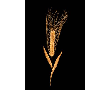 Ca. 400 BC.A 22 ct gold stunning ear of wheat with finely detailed individual strands, each rendered distinctly to replicate 