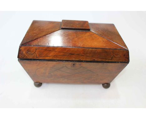 19th Century sarcophagus tea caddy on brass ball feet, 32cm wide.