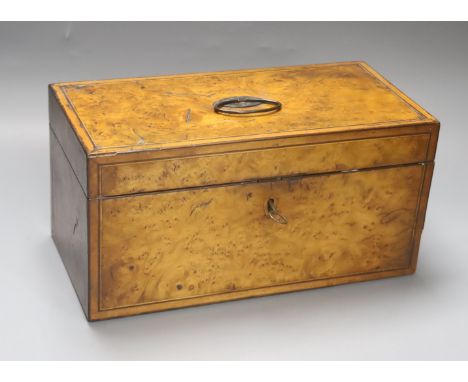 Early 19th century inlaid burr elm tea caddy31cm