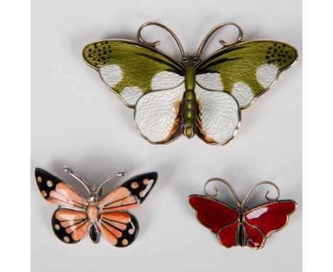 Fabulous collection of butterflies in different sizes and colors from Norway. The largest is green and white with a touch of 