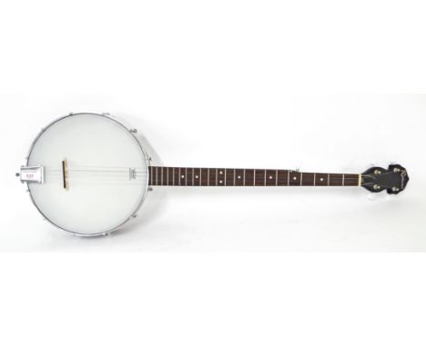 Richwood five string banjo, with 7" skin, 28 scale, soft case