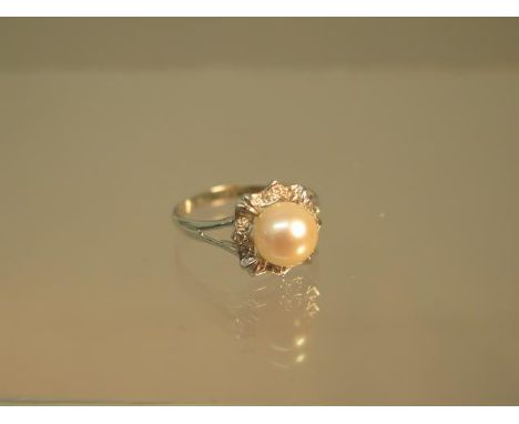 An 18ct white gold (hallmarked) Akoya pearl ring size S - weight approx 3.6 grams 