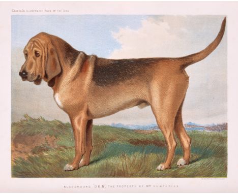 Shaw (Vero) The Illustrated Book of the Dog, 28 fine chromolithograph plates, numerous wood-engraved illustrations, occasiona