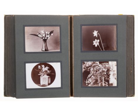 Botany.- Photo album.- Album of 96 photographs of orchids and other flowers in floral displays, 96 gelatine silver print phot