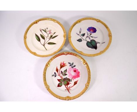 Three Worcester Chamberlains dessert plates, painted with named floral specimens, within gadrooned gilt borders, red marks, 2