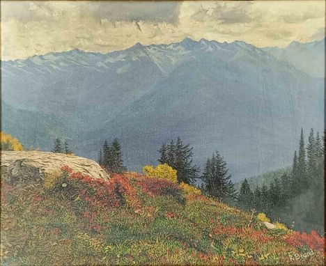 R. BRAND (XX). Sommerwiese im den Alpen.40 cm x 50 cm. Gemälde. Öl auf Maltafel. Circa 60 bis 80 Jahre alt. Versand kann orga