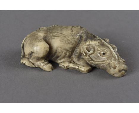 A Meiji period signed Japanese ivory netsuke, modelled as a recumbent water buffalo with rope harness signed Tamauyki, 5.4 cm