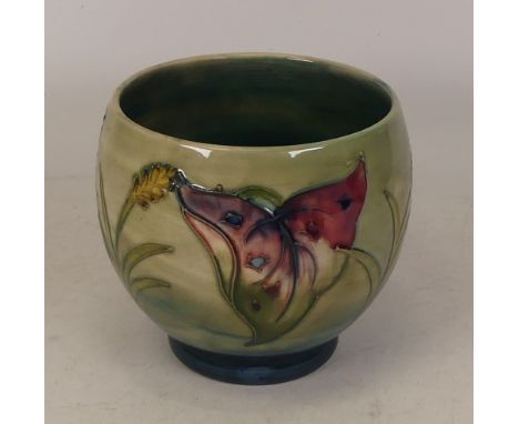Moorcroft Aram Lily planter. Diameter 12cm, height 11cm