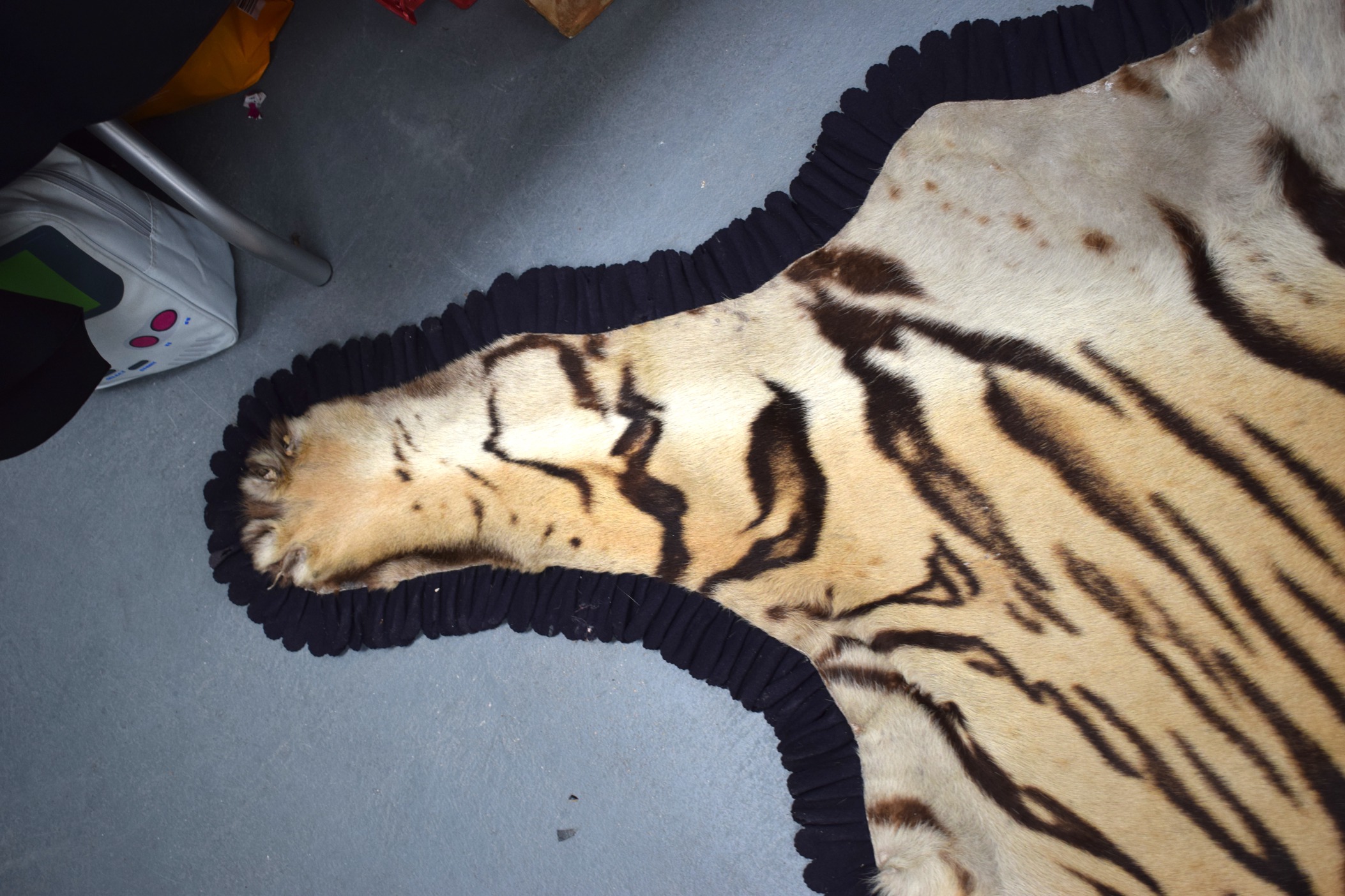 AN EARLY 20TH CENTURY TAXIDERMY TIGER SKIN RUG. 210 cm wide. 190cm Head