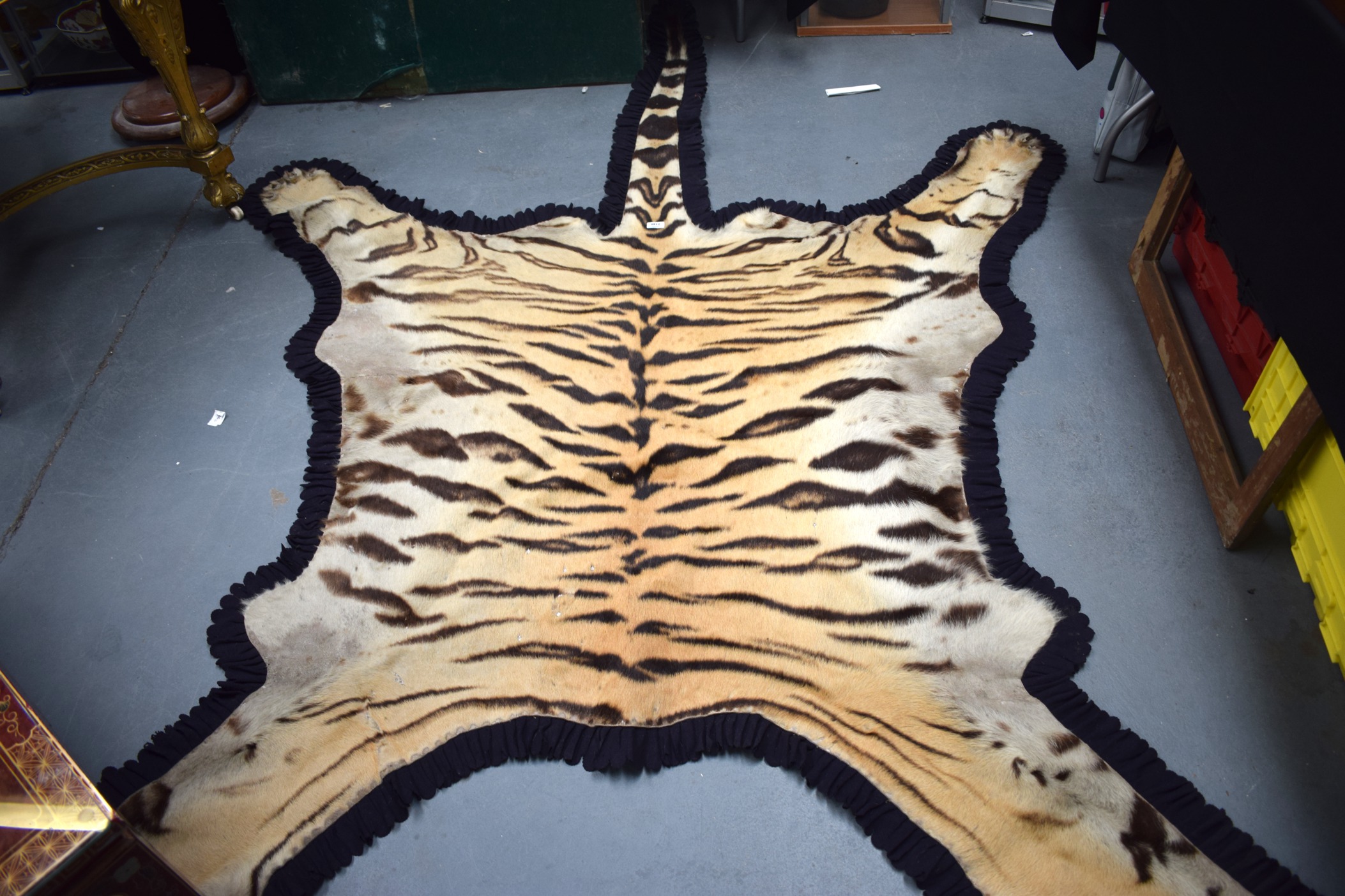 AN EARLY 20TH CENTURY TAXIDERMY TIGER SKIN RUG. 210 cm wide. 190cm Head