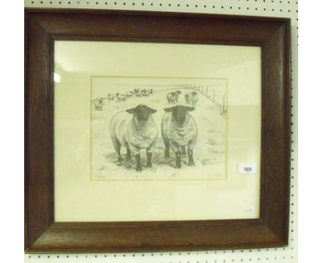 A limited edition print of sheep - 304/400, 20 x 26cm