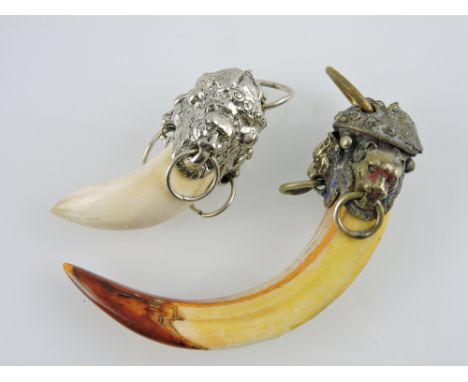 Two Tibetan boar tusk pendants. 