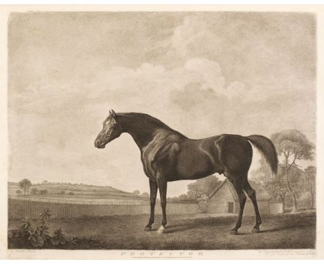 Stubbs (George Townly, 1756-1815). A complete series of 14 stipple engravings for the Turf Gallery, by George Townly Stubbs a