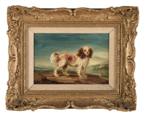 * English School. Portrait of a spaniel, circa 1828-1839, oil on wood panel, depicting a small curly-haired white and tan dog