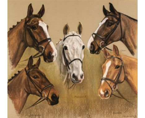* King (John Gregory, 1929-2014). Portrait of a Chestnut Hunter, 1972, watercolour heightened with bodycolour on cream wove p