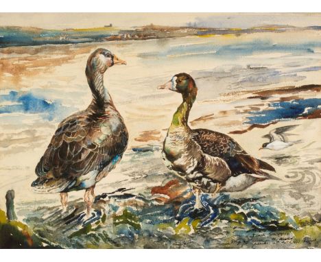 * Southgate (Frank, 1872-1916). Greylag Goose on flooded marshes at Salthouse, Norfolk, watercolour on paper, depicting a pai