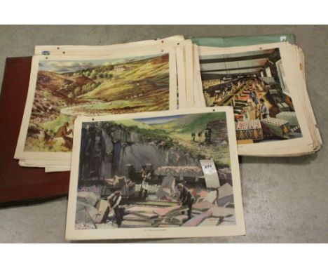 Large collection of vintage School Educational posters