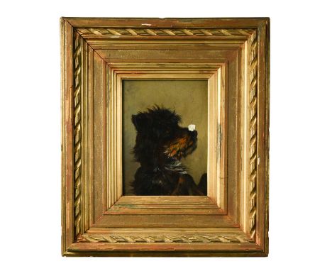 § Carl Deiker (German, 1879-1958) Portrait of a dog balancing a sugar cube on its nosesigned lower left 'CDeiker'oil on panel