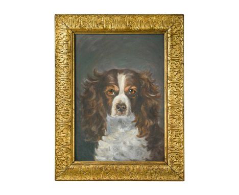 English Provincial School (19th-20th century) Study of a dog, a portrait of a spanielmixed media35 x 24cm