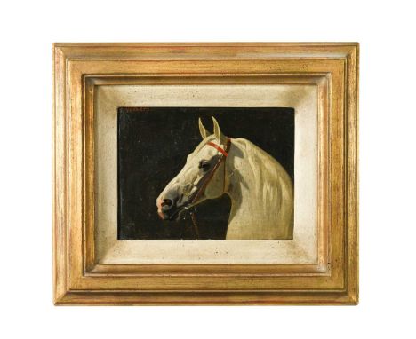 Emil Volkers (German, 1831-1905) Study of a horse’s headsigned upper left 'E Volkers'oil on canvas14 x 18cmProvenance:Propert