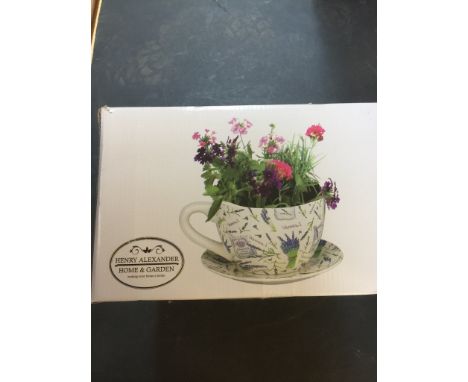TEACUP PLANTER