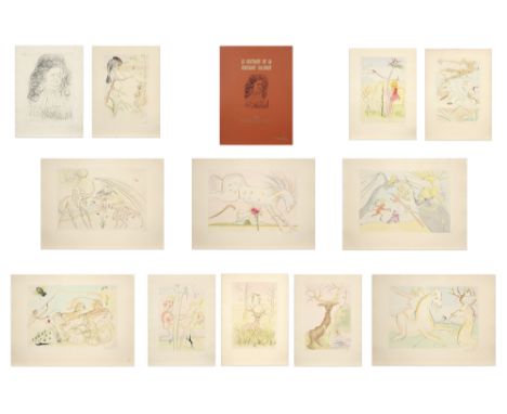 Salvador Dali's "Le Bestiaire de La Fontaine Dalinise" portfolio with 12 signed and numbered etchings (first edition !) on Au