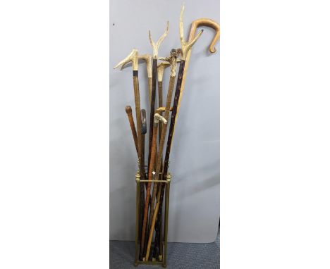 A selection of mainly early 20th century walking sticks to include various examples with horn topped handles, housed in a bra