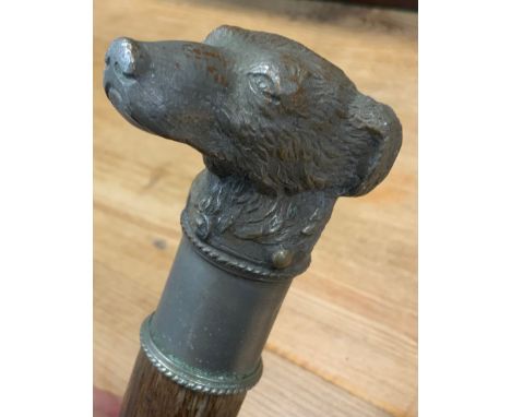 A 20th century dogs head walking stick, cast metal handle as a Terrier, tapering shaft, 89.5cm long 