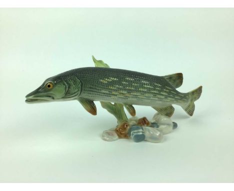 Goebel model of a Pike numberedc35803 11, 25.5cmCondition report: In good order with no signs of damage or restoration 