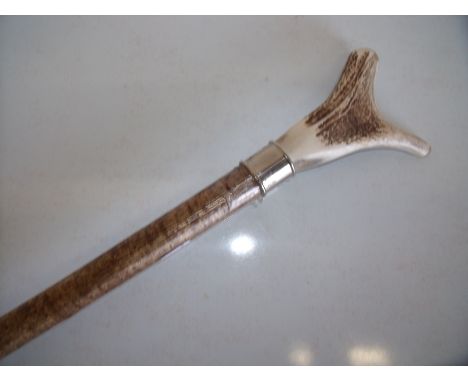 Antler thumb stick (length 132cm)