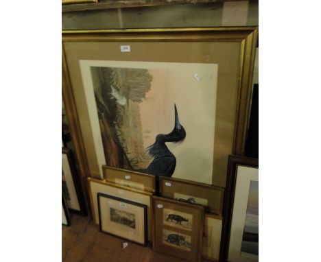 Large colour print, Blue Crane and a quantity of Antique engravings.