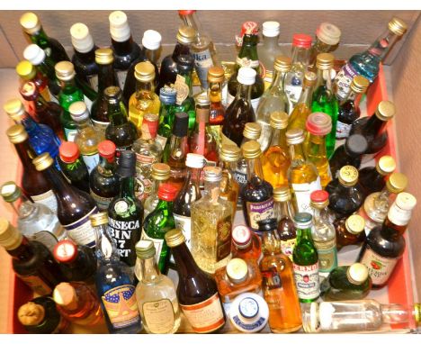 Miniature Scotch and Liqueurs - a qty, various
