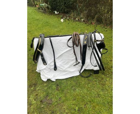 Set of black and brass tandem harness, complete with 20.5" princess collar to suit 13-15hh