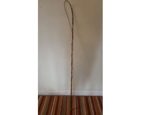 Pony size holly whip made by Crawley of Peterborough