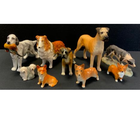 A Beswick model Great Dane standing;  others Corgi, Old English Sheepdogs ;  Alton Pointer with pheasant;  Border Fine Arts e