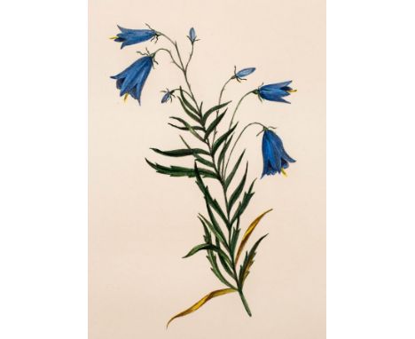 Curtis (A)/Flowers, a series of short poems original and translated, illustrated with figures, published and privately printe