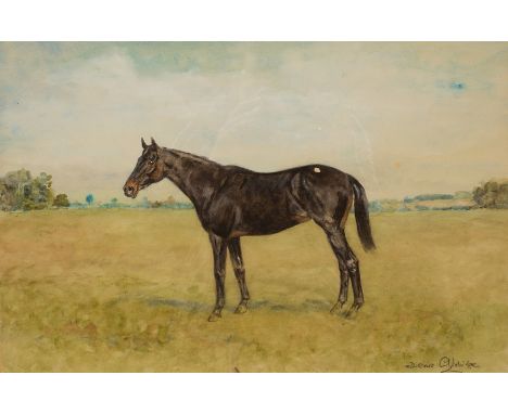Denis Aldridge (1898-1985)/Portrait of a Hunter at Grass/signed/watercolour, 34cm x 52cm and/Study of a Horse 'Yes Sir'/indis