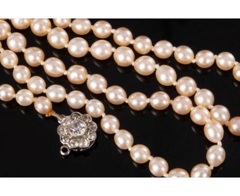 A single row pearl necklace, the graduated row of pearls to a diamond flowerhead cluster clasp, 44.5cm long/see illustration 