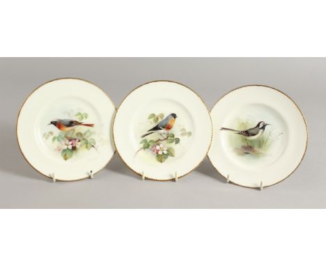 THREE ROYAL WORCESTER PLATES, painted with named birds by Wm. Powell, signed W. Powell.