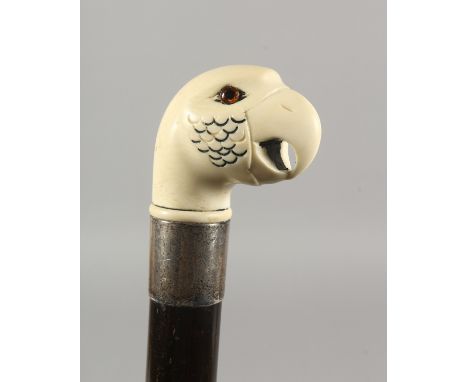 A 19TH CENTURY CARVED IVORY PARAKEET WALKING STICK with glass eyes and silver band. 2ft 11ins long.