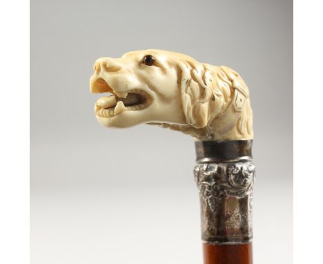 A 19TH CENTURY WALKING STICK, the handle carved as a DOG'S HEAD and silver band. 2ft 8ins long.