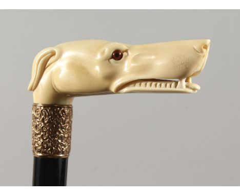 A VERY GOOD EDWARDIAN CARVED IVORY GREYHOUND HEAD WALKING STICK with glass eyes and silver band. London 1912.  2ft 11ins long