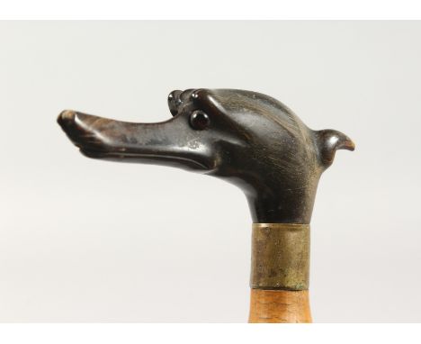 A 19TH CENTURY RHINO CARVED GREYHOUNDS HEAD WALKING STICK. 2ft 10ins long.