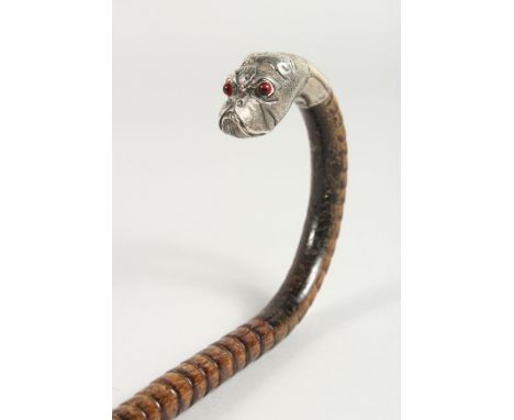 A CANE WALKING STICK with silver BULLDOG HANDLE with glass eyes. 36"