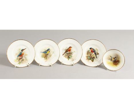 FOUR ROYAL WORCESTER PLATES, painted with named birds by Wm. Powell, signed W. Powell and a pin tray painted with a Mallard, 